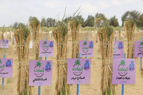 Endowment of palm trees وقف النخيل أفضل صدقة جارية